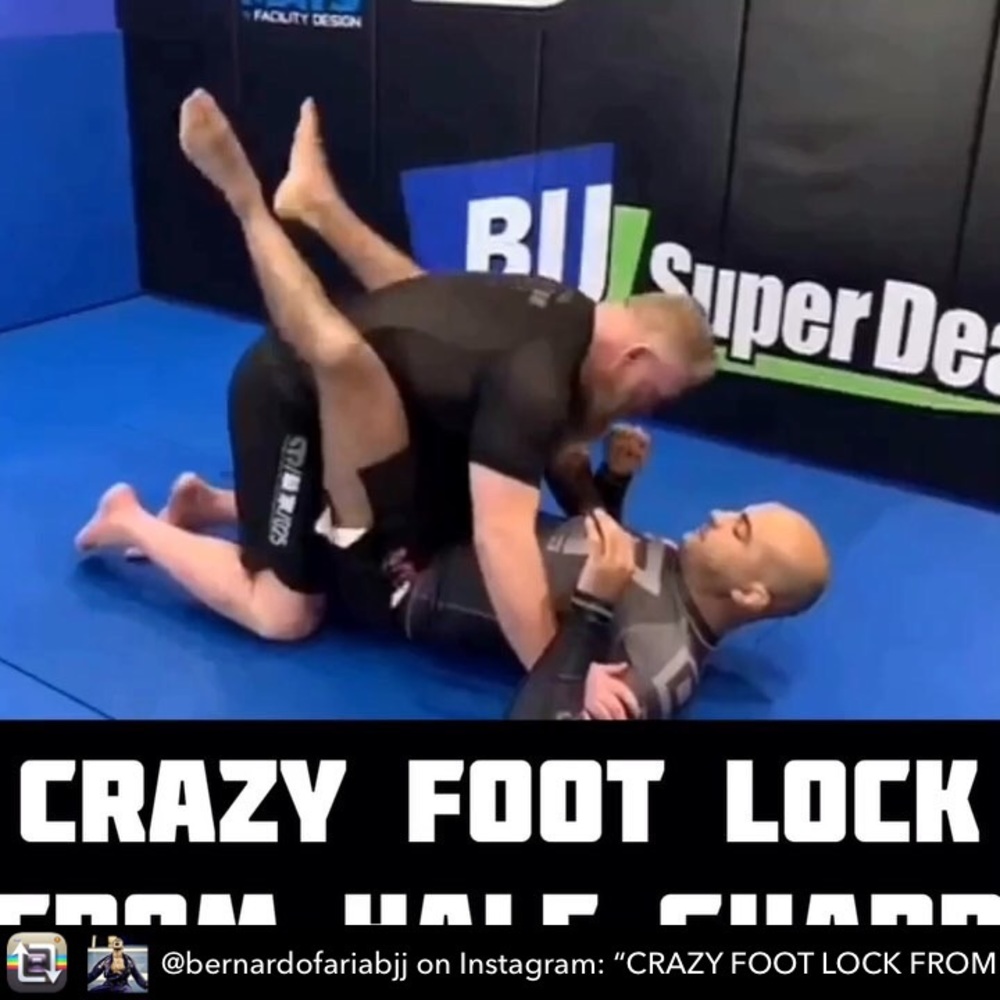 Meet your Posher, Warren